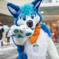 Profile picture tyehusky.bsky.social
