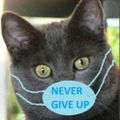 Profile picture kat4obama.bsky.social
