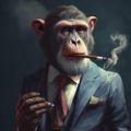 Profile picture godlessprimate.bsky.social