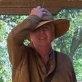 Profile picture billforst.bsky.social