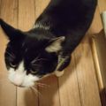 Profile picture anders.sorby.xyz