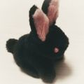 Profile picture alcermis.bsky.social