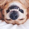 Profile picture p-i-l-a-r.bsky.social