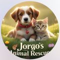 Profile picture jorgosanimalrescue.bsky.social