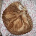 Profile picture charatoustra.bsky.social