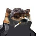 Profile picture jjindc.bsky.social