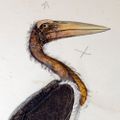 Profile picture jzoology.bsky.social