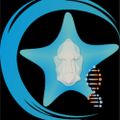 Profile picture marineevoeco.com