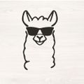 Profile picture timsllamas.bsky.social
