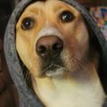 Profile picture tarulon.bsky.social