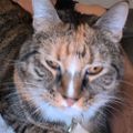 Profile picture yosemmite.bsky.social