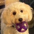 Profile picture kathypkathy.bsky.social