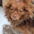 Profile picture sam--2025.bsky.social