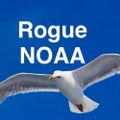 Profile picture roguenoaa.bsky.social