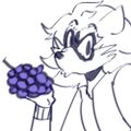 Profile picture trashraccoid.bsky.social