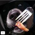 Profile picture fenrisgames.com