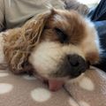 Profile picture paulsscott.bsky.social