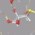 Profile picture saccharides.bsky.social