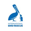 Profile picture intbirdrescue.bsky.social