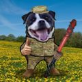 Profile picture bonkereduardo.bsky.social