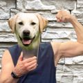 Profile picture jm144.bsky.social