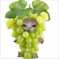 Profile picture saddestlittlegrape.bsky.social