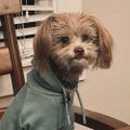 Profile picture suzzzk.bsky.social