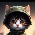 Profile picture mikothecat2025.bsky.social