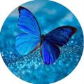 Profile picture rosangela25.bsky.social