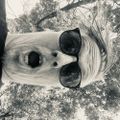 Profile picture kunterbunt.bsky.social