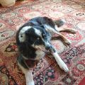Profile picture msjekyll.bsky.social
