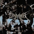 Profile picture dismaraband.bsky.social