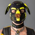 Profile picture evansthepup.bsky.social