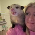 Profile picture jena1.bsky.social