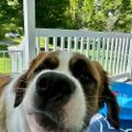 Profile picture kenny1918.bsky.social