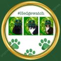 Profile picture olivefigbella.bsky.social