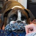 Profile picture heathersimmonsen.bsky.social