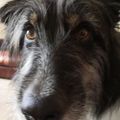 Profile picture scotslass-15.bsky.social