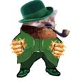 Profile picture bernardoohiggins.bsky.social