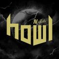 Profile picture idobihowl.idobi.com