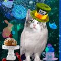 Profile picture meowlmadness.bsky.social