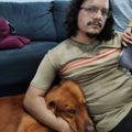 Profile picture danilosnogueira.bsky.social