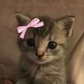 Profile picture sillybilly98.bsky.social