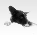 Profile picture glenn-powell.bsky.social