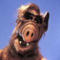 Profile picture woothereiam.bsky.social