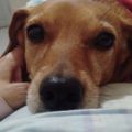 Profile picture analuciabr5.bsky.social