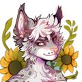 Profile picture shiroii.bsky.social