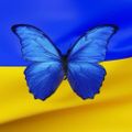 Profile picture dontdeflect.bsky.social
