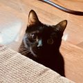 Profile picture fervl.bsky.social