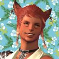 Profile picture aethercurrent.bsky.social